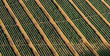 Ut voluptatem consequatur nobis